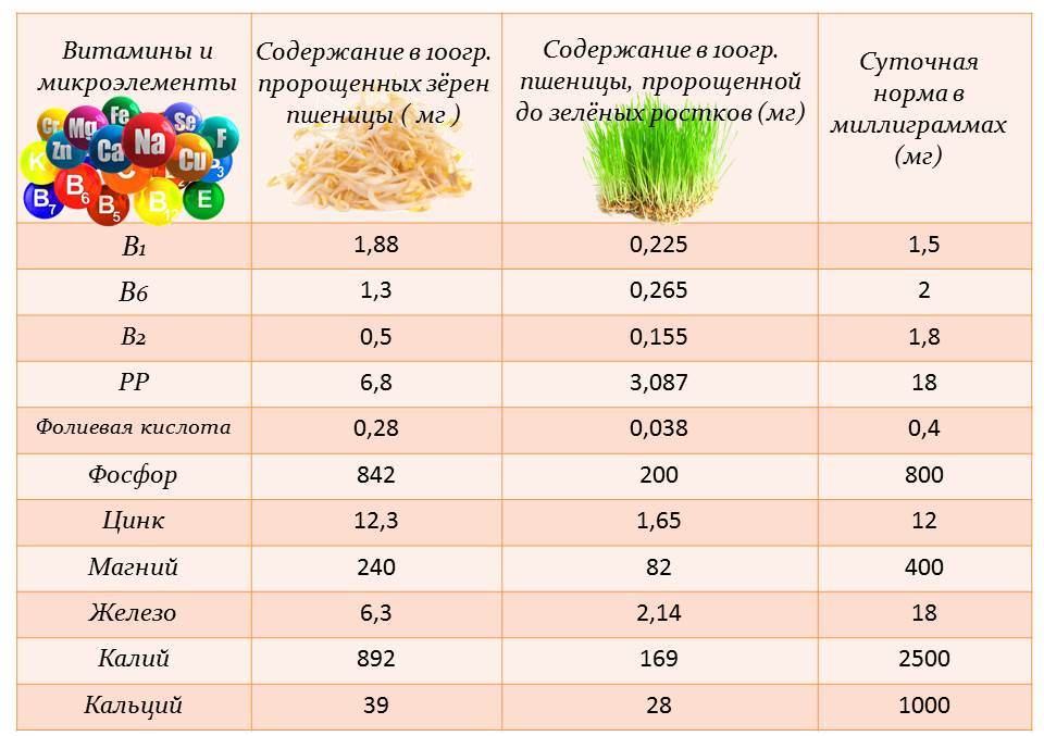 Пшеница состав белки